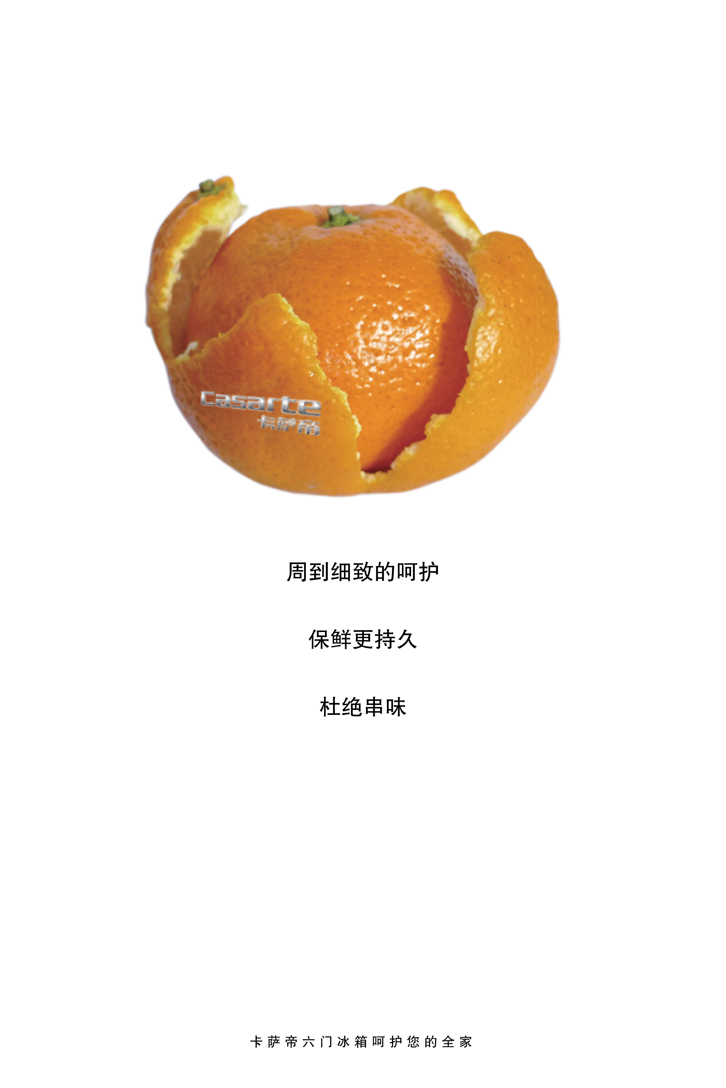 保鲜 橘子 RGB.jpg