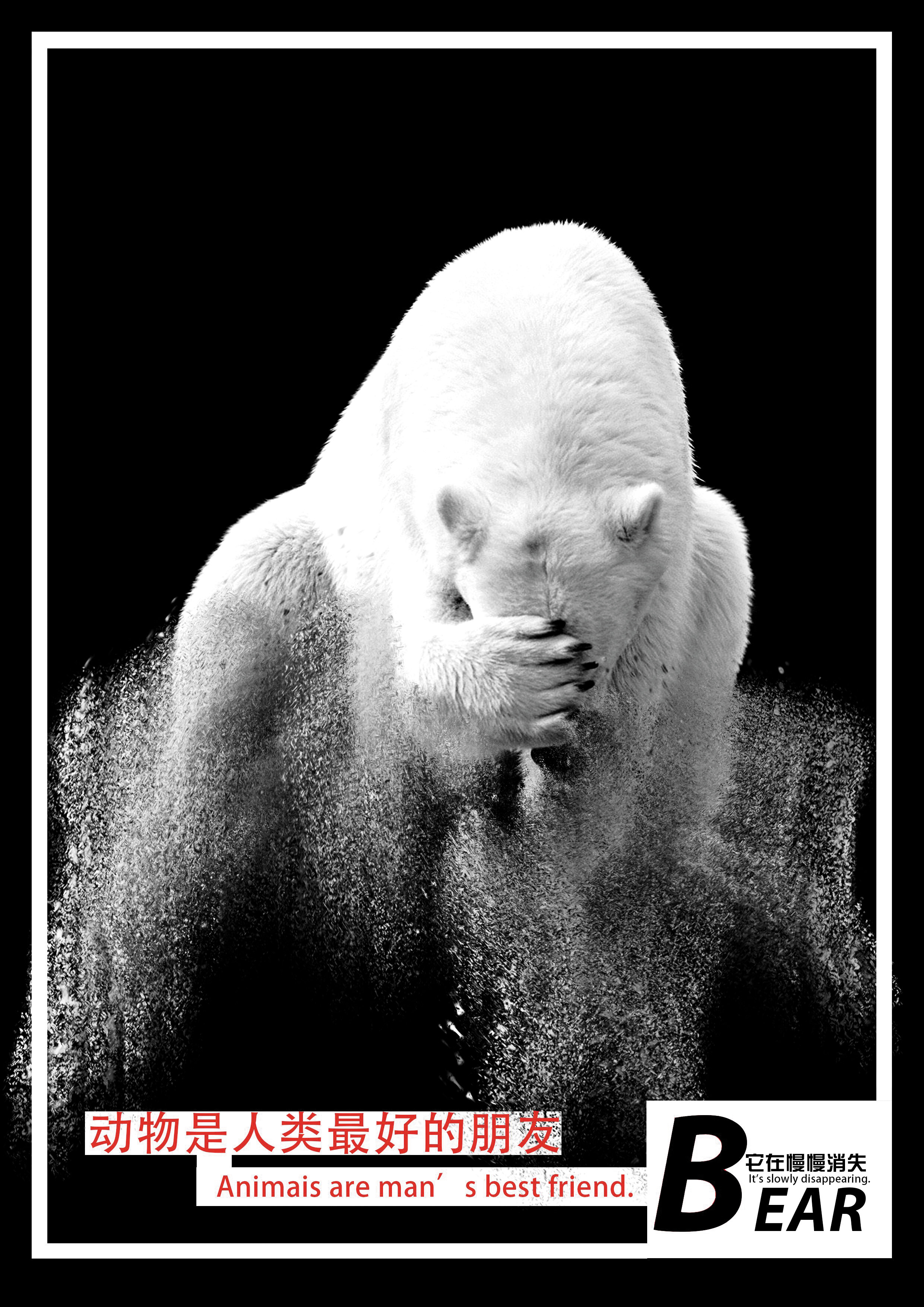 保护北极熊，为它保留一片冰川+RGB.jpg
