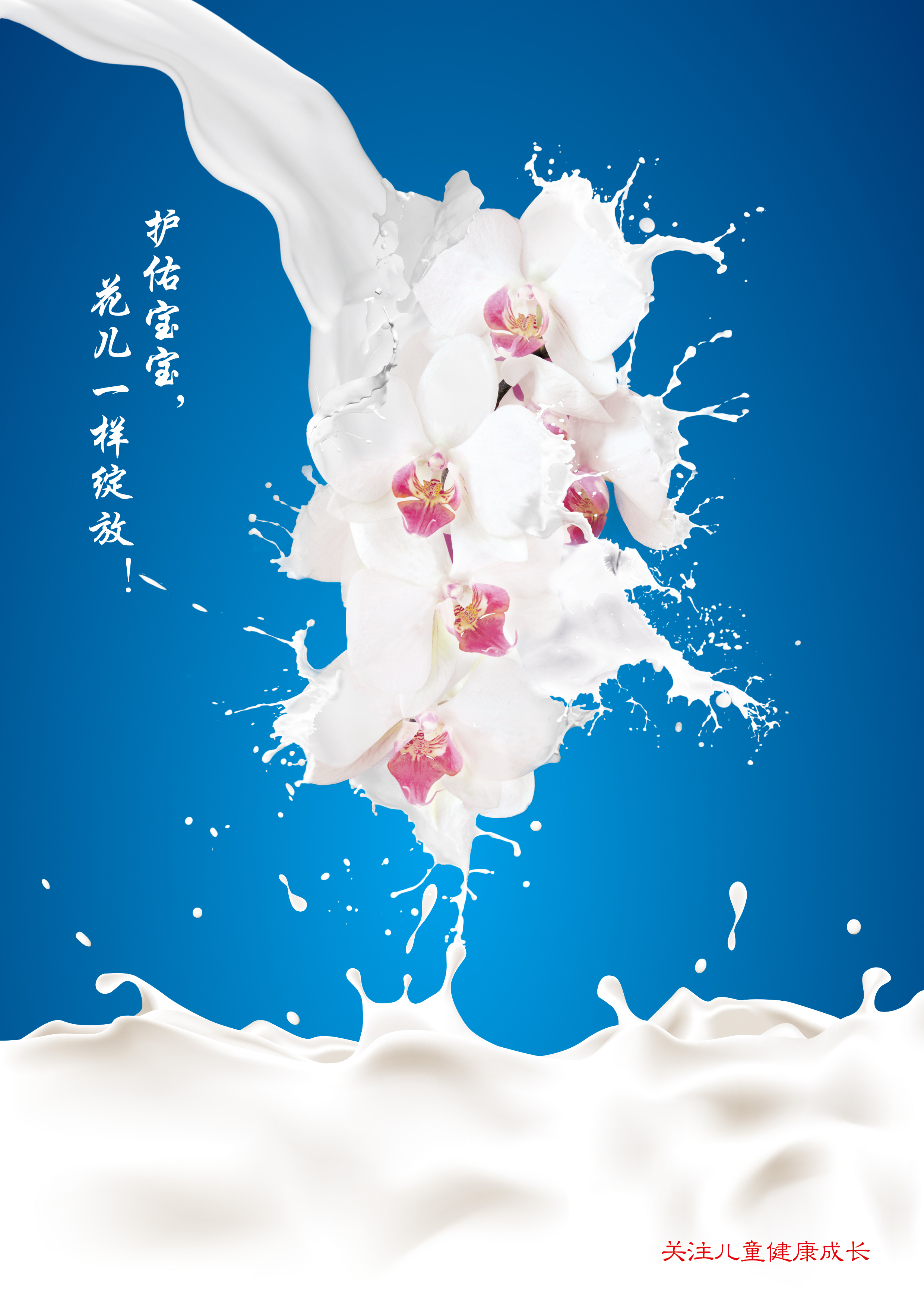 牛奶系列－蝴蝶兰篇＋RGB.jpg