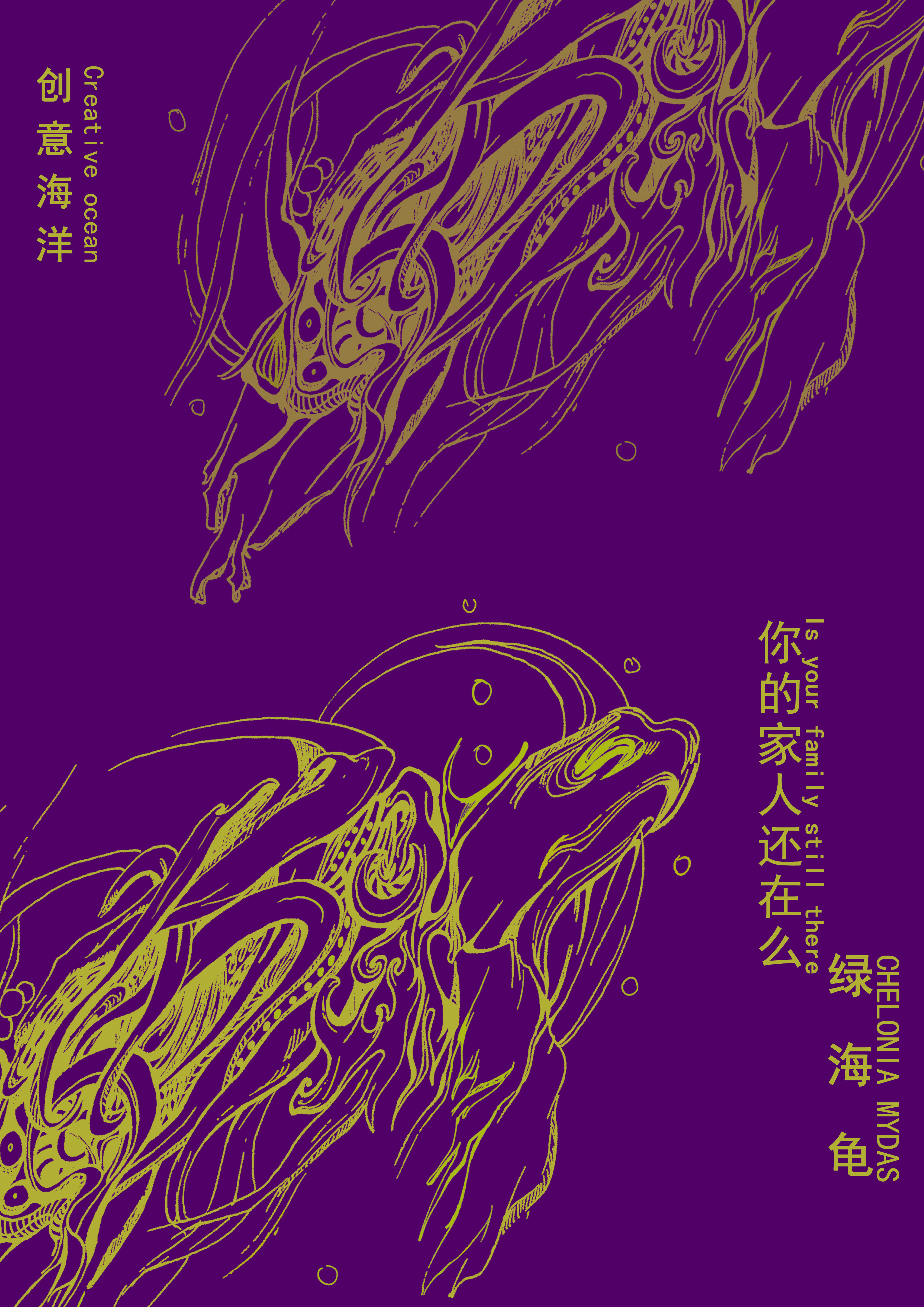 你的家人还在么——绿海龟RGB.jpg